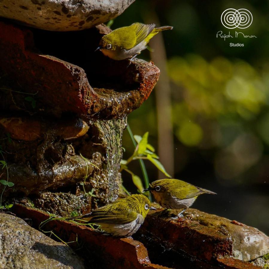 Corbett Nature Retreat رامناجار المظهر الخارجي الصورة