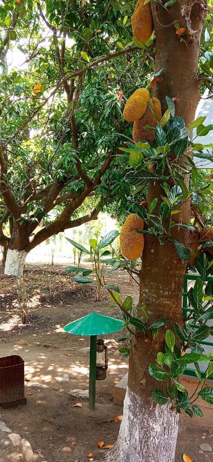 Corbett Nature Retreat رامناجار المظهر الخارجي الصورة