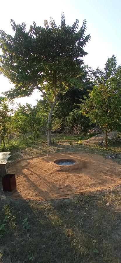Corbett Nature Retreat رامناجار المظهر الخارجي الصورة